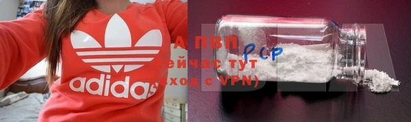 эйфоретик Осинники